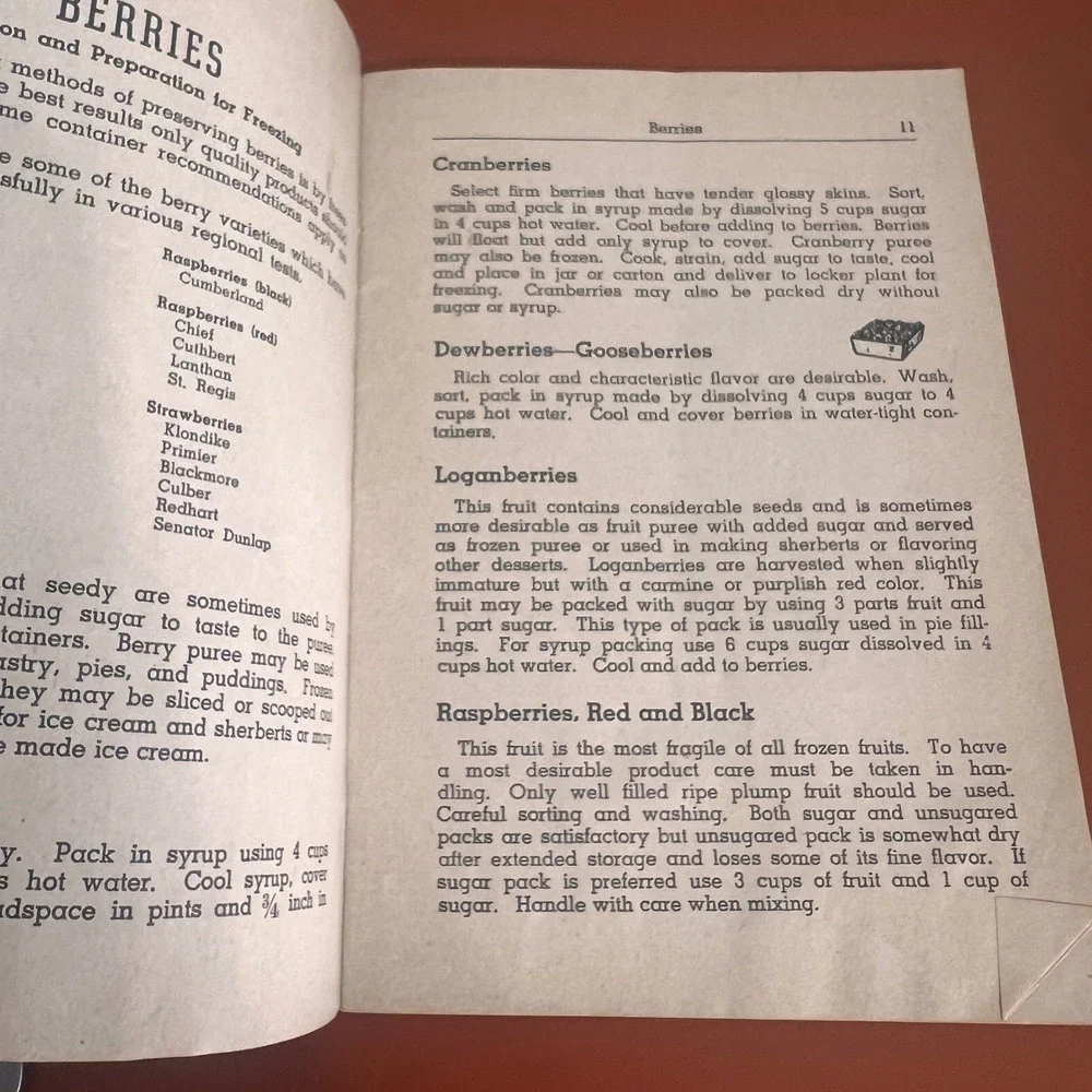 1946 Facts About Freezing Foods Vintage Cookbook Booklet Foster Frosted Foods